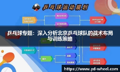 乒乓球专题：深入分析北京乒乓球队的战术布局与训练策略