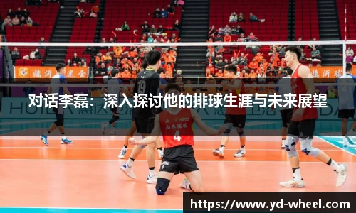 对话李磊：深入探讨他的排球生涯与未来展望