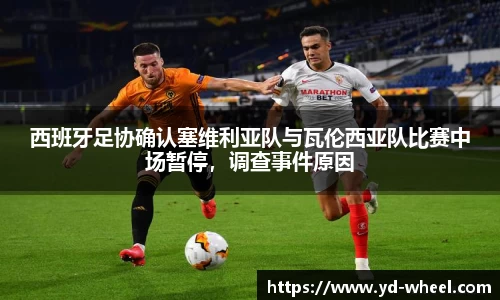 西班牙足协确认塞维利亚队与瓦伦西亚队比赛中场暂停，调查事件原因