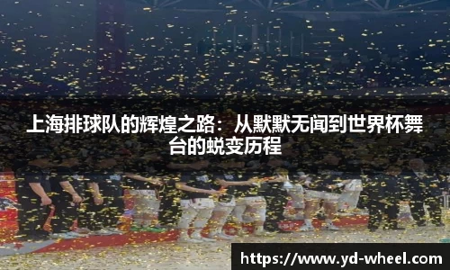 上海排球队的辉煌之路：从默默无闻到世界杯舞台的蜕变历程