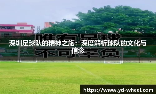 深圳足球队的精神之旅：深度解析球队的文化与信念