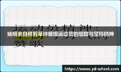 wm365完美体育官方网站