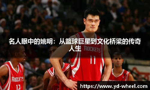 名人眼中的姚明：从篮球巨星到文化桥梁的传奇人生