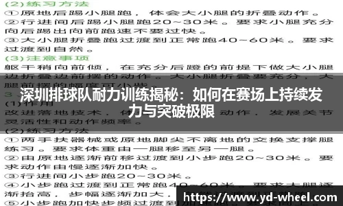 深圳排球队耐力训练揭秘：如何在赛场上持续发力与突破极限