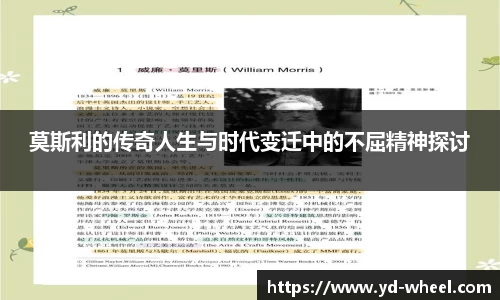 星空综合体育官网